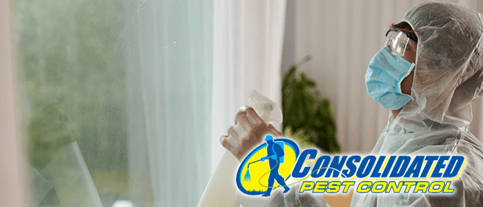 Which Roach Traps Work? - Welcome to Consolidated Pest Control